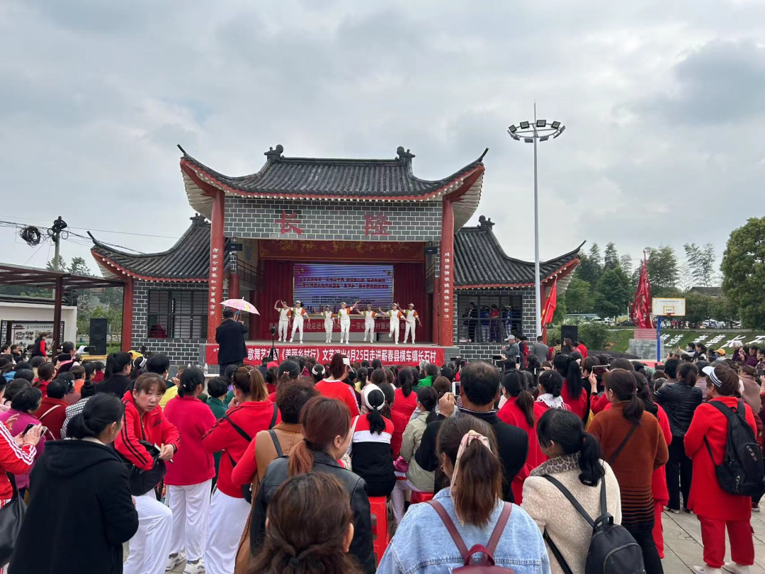 橫車鎮(zhèn)開展文藝匯演暨文化科技衛(wèi)生“三下鄉(xiāng)”集中示范服務活動