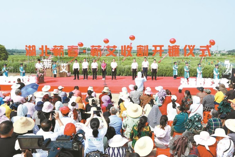 風(fēng)勁帆滿快行舟 ——蘄春縣經(jīng)濟(jì)社會(huì)全域提速全面精彩紀(jì)實(shí)