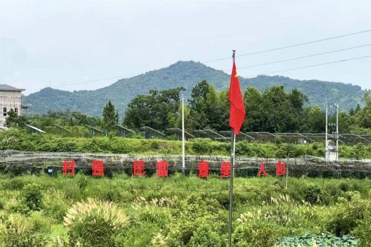 大別山窮旮旯 蝶變“金窩窩”,！省臺辦持續(xù)8年10名干部接力幫扶
