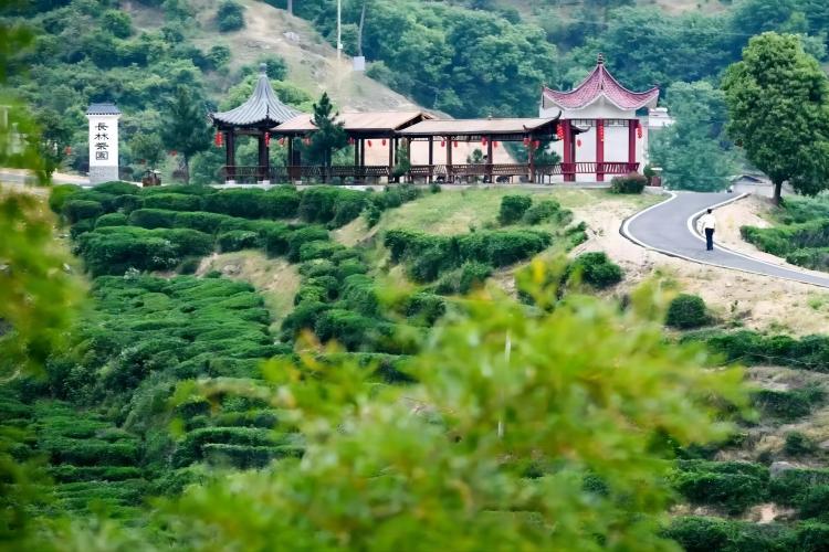 蘄春縣獅子鎮(zhèn)探索田園綜合體新模式