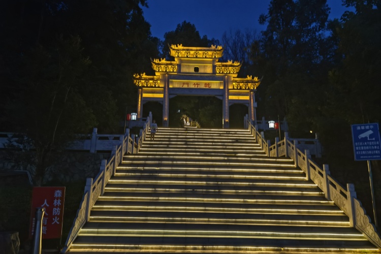 獨(dú)山森林公園已成“夏日新寵”