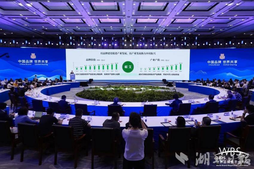 蘄春在“2025中國品牌日”活動分享“蘄艾”鄉(xiāng)村振興經(jīng)驗做法